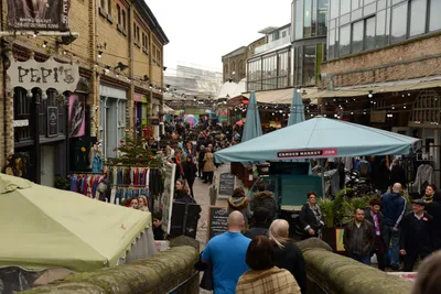 DSC_6088 (Large).JPG